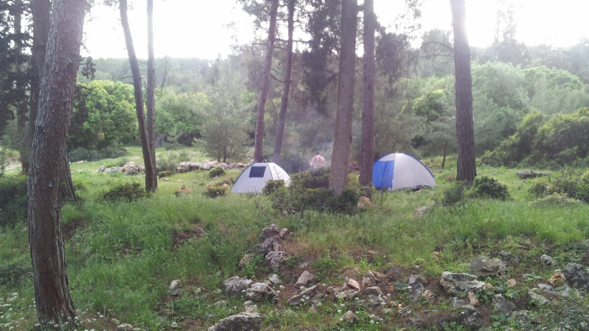 free campingFOREST