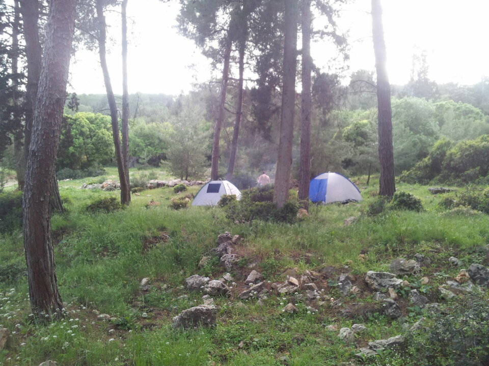 free campingFOREST