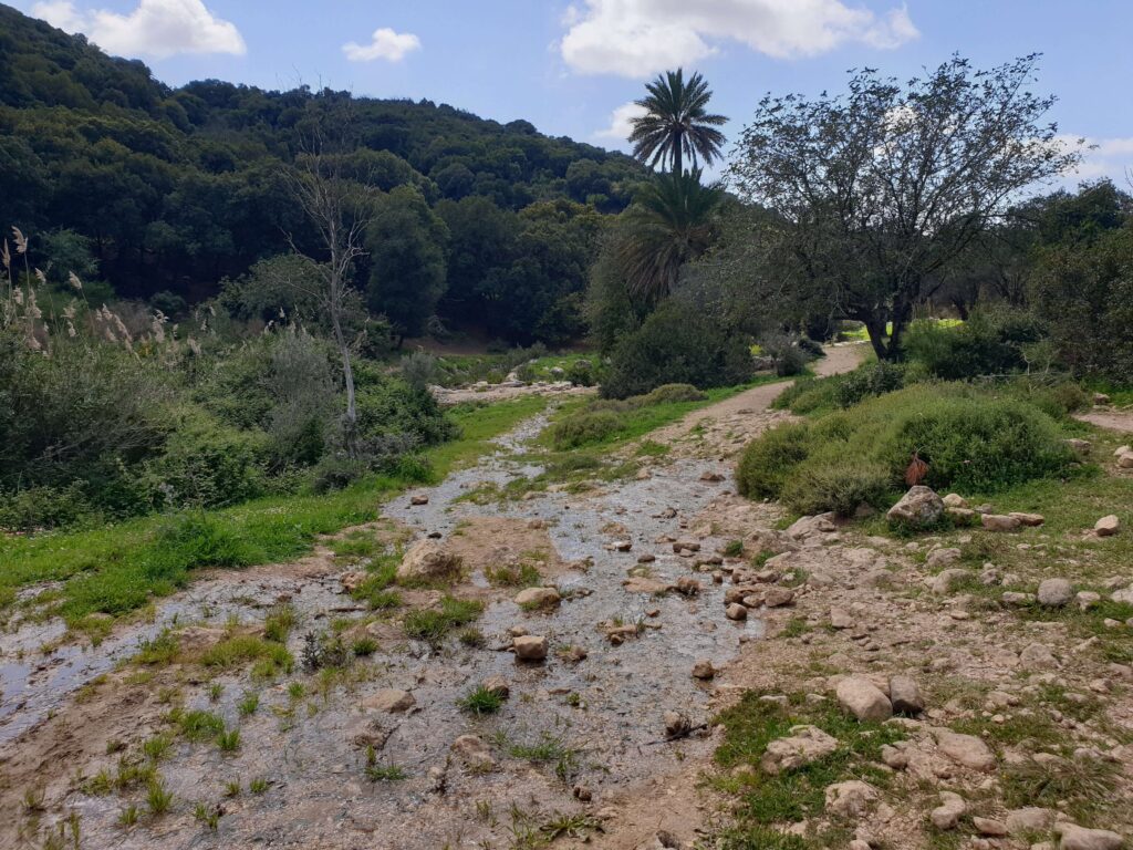 Haifa region Israel camping