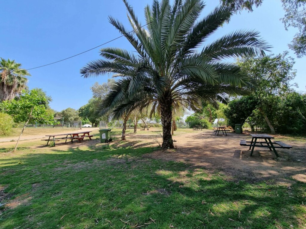 Yarkon Park picnic area