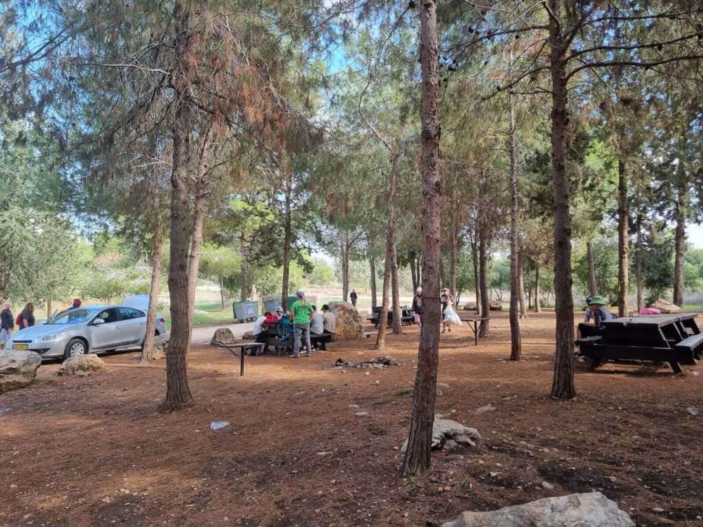 Camping in Israel Shoham forest