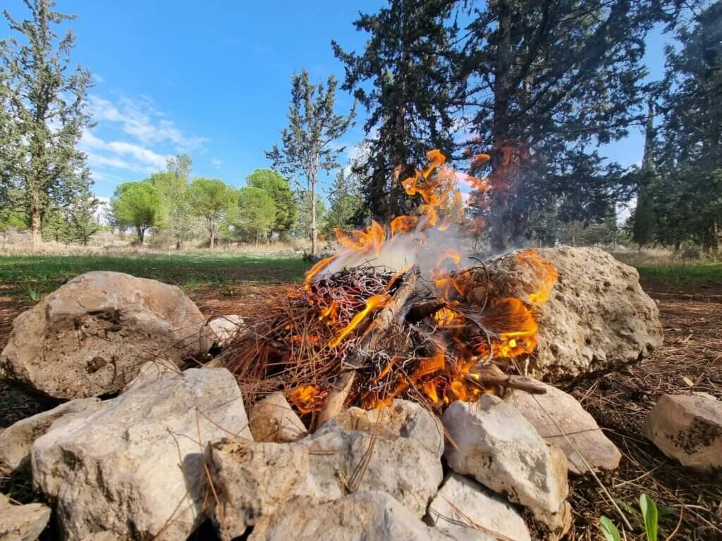 Shoham forest campfire