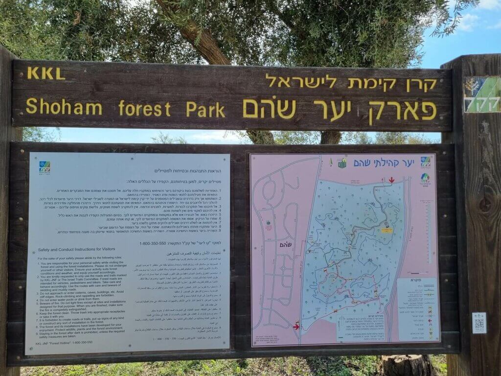 Shoham forest free camping in Israel